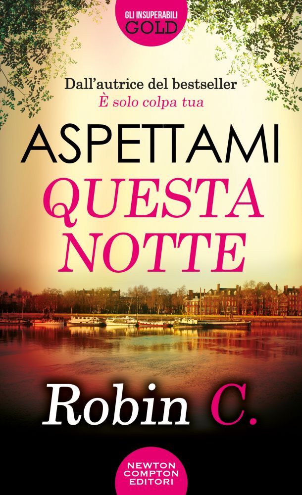 Book Cover: Aspettami Questa Notte di Robin C. - RECENSIONE