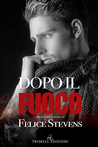 Book Cover: Dopo il fuoco di Felice Stevens - SEGNALAZIONE