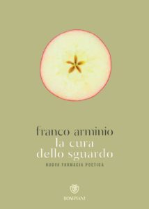 Book Cover: La cura dello sguardo. Nuova farmacia poetica di Franco Arminio - SEGNALAZIONE