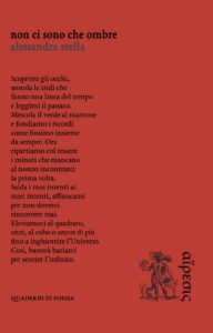 Book Cover: Non ci sono che ombre di Alessandra Stella - SEGNALAZIONE