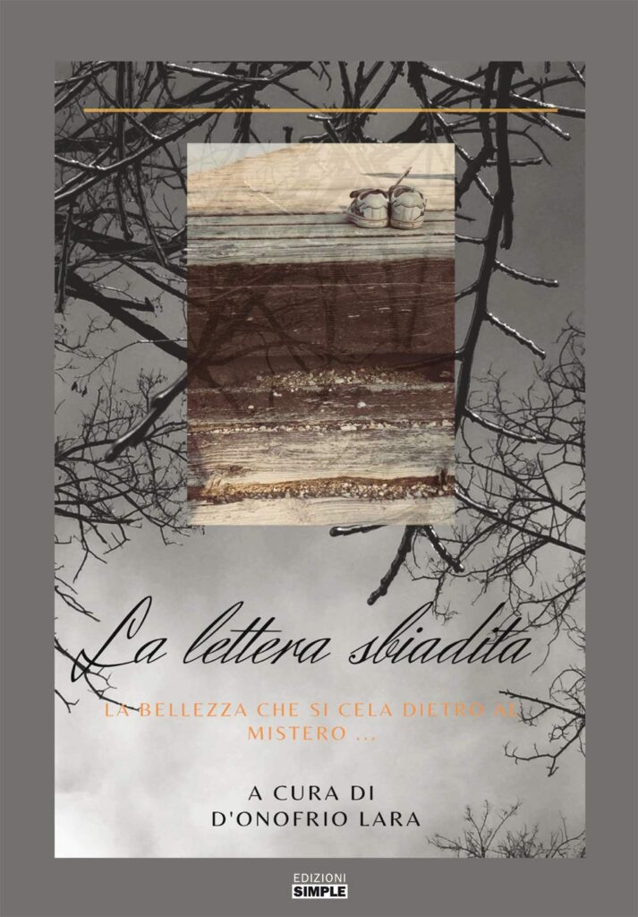 Book Cover: La lettera sbiadita di Lara D'Onofrio - SEGNALAZIONE