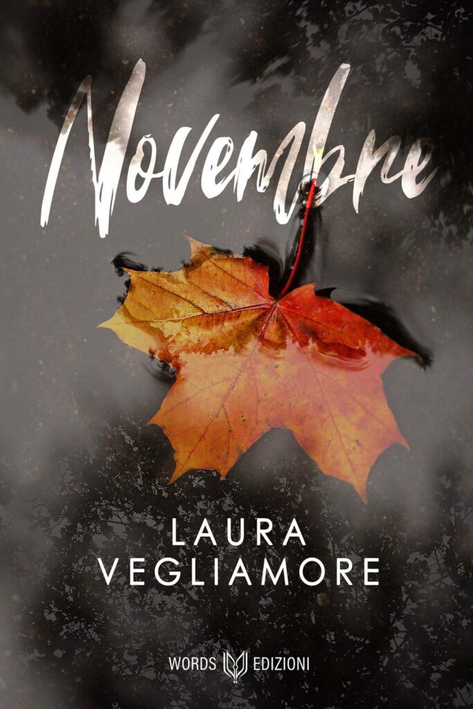 Book Cover: Novembre di Laura Vegliamore - SEGNALAZIONE