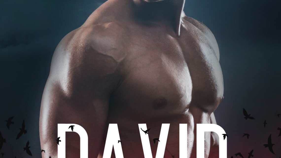 David di Celia Aaron – COVER REVEAL