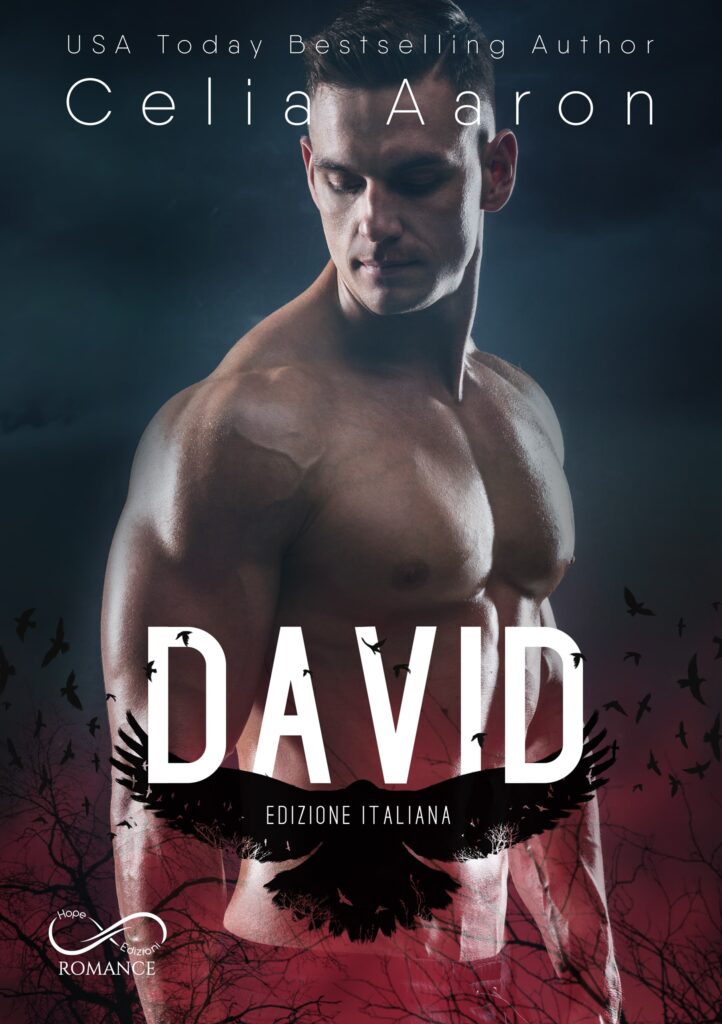 Book Cover: David di Celia Aaron - COVER REVEAL