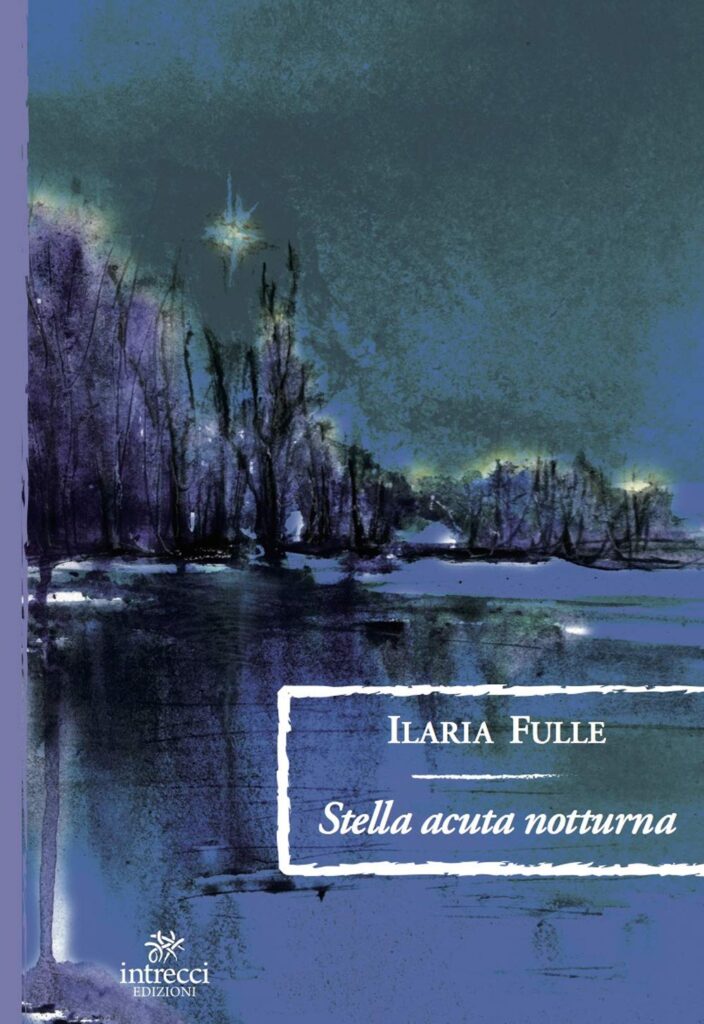 Book Cover: Stella acuta notturna di Ilaria Fulle - RECENSIONE IN ANTEPRIMA