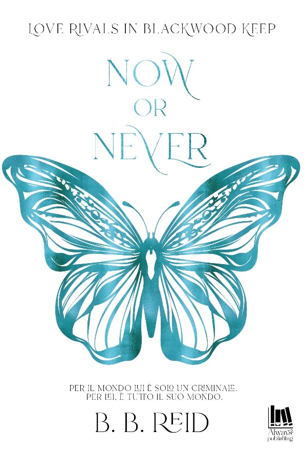 Book Cover: Now or Never DI B.B Reid - RECENSIONE