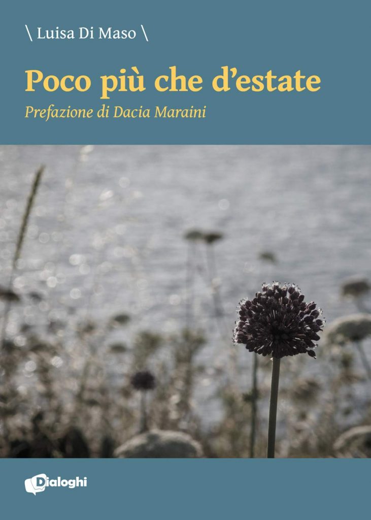 Book Cover: Poco più che d'estate di Luisa Di Maso- RECENSIONE