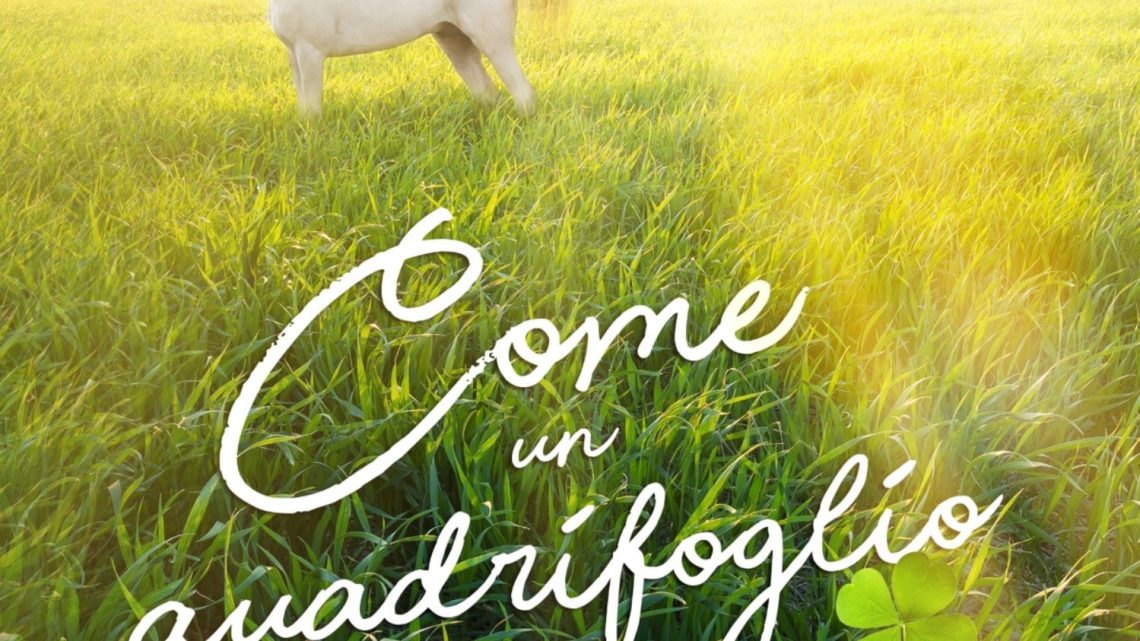 Come un quadrifoglio in un campo di erba medica di Emma Scacco – RECENSIONE IN ANTEPRIMA